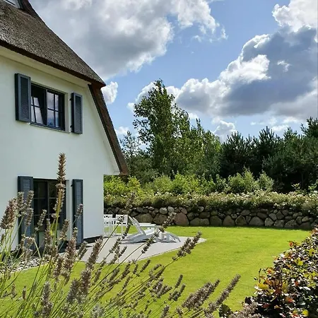 Seeschwalbe 44