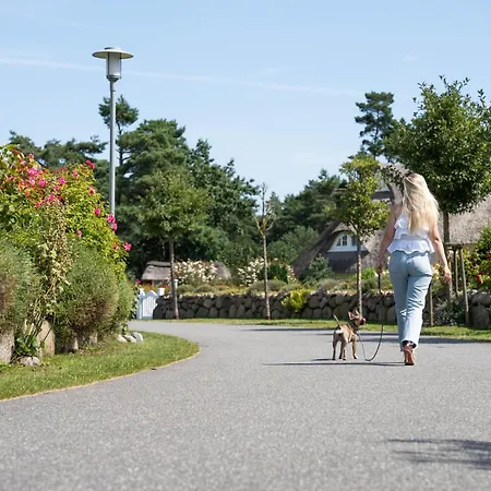 Seeschwalbe 44 Casa vacanze